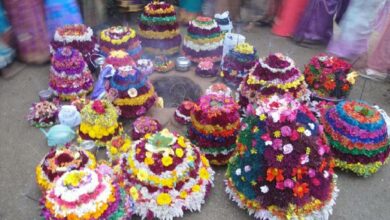 Governor Soundararajan celebrates Bathukamma festival with doctors