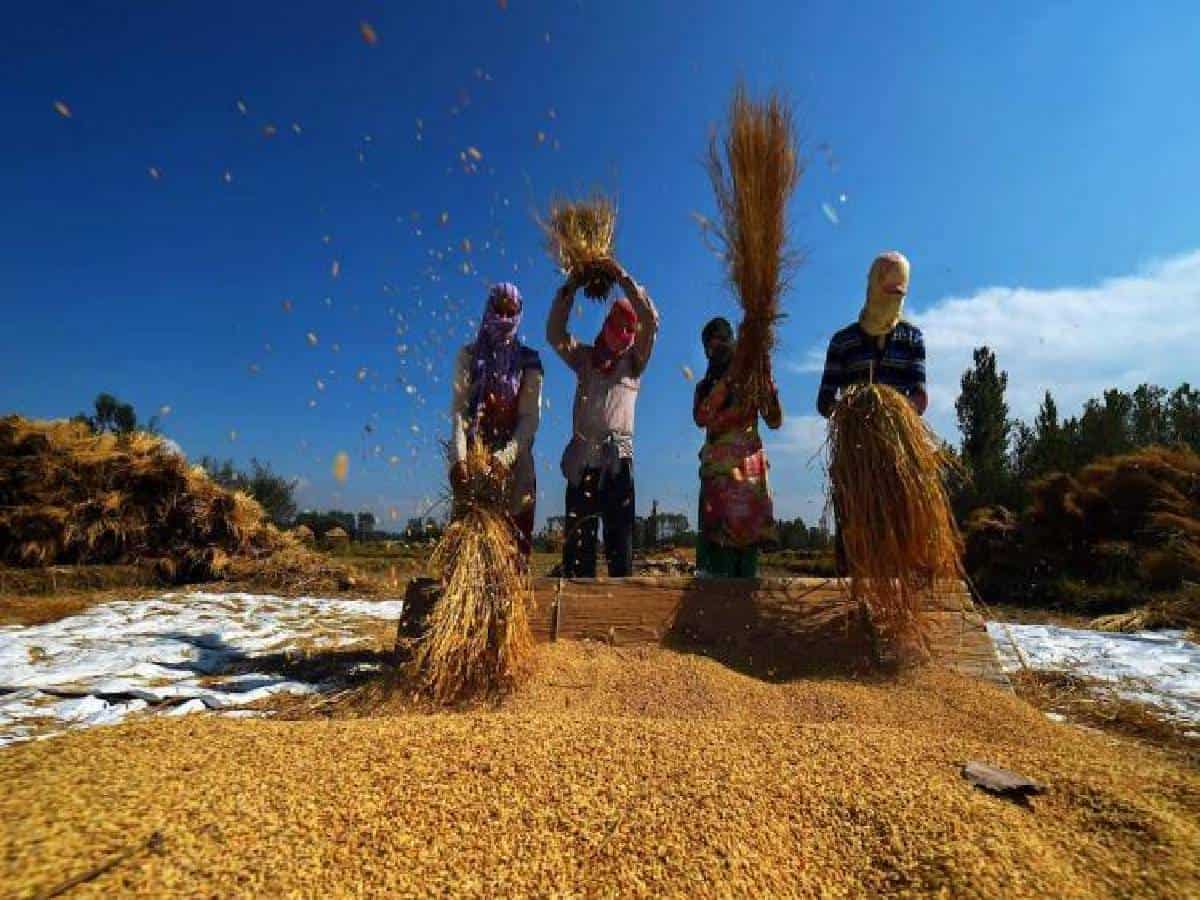 After the Center's snub, the T'gana govt. asks farmers not to cultivate paddy