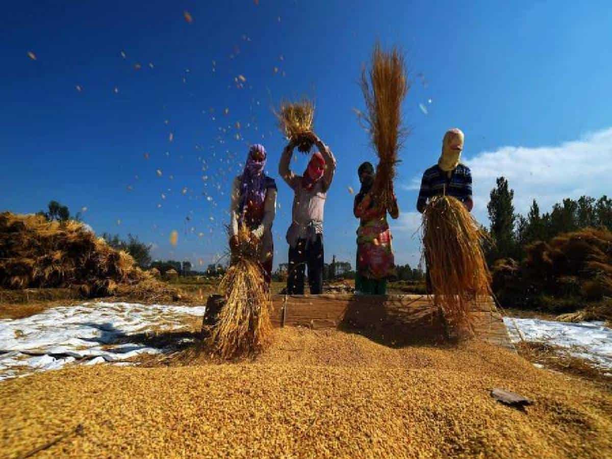 Telangana procures 59L metric tonnes of paddy worth 12 crores