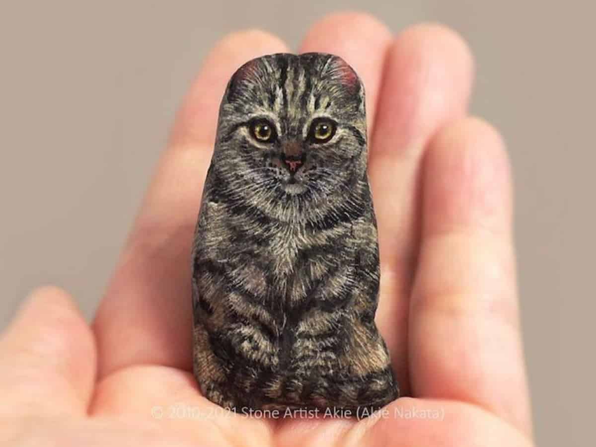 Photos: Artist transforms ordinary rocks into lifelike animals