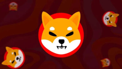 All you need to know about Shiba Inu