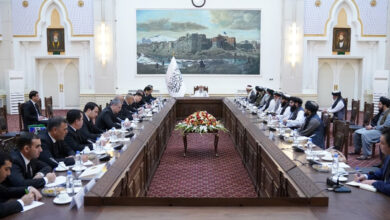 Taliban Acting PM meets Turkmen FM on bilateral ties