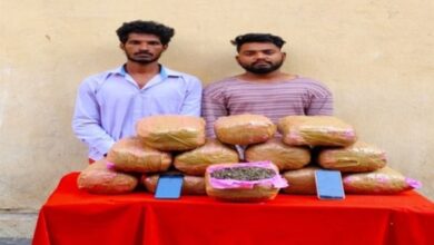 Hyderabad: Taskforce and Jubilee Hills police seized 26 kg ganja