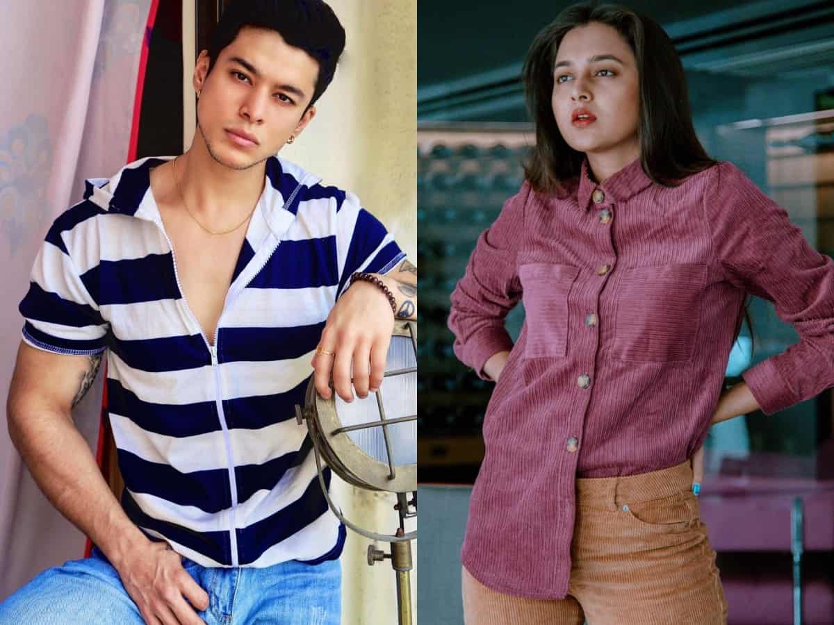 Bigg Boss 15: TOP 5 contestants and their per day earnings