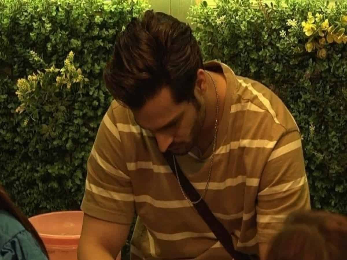 'Strategy has been fixed to remove Umar Riaz from Bigg Boss 15'