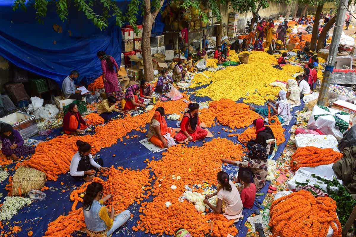 In Pics Ghazipur flower market during Diwali festival
