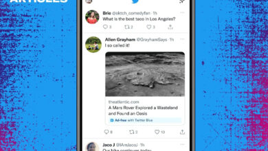 Twitter's Blue subscription to allow undo tweets, read ad-free news