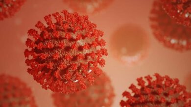 Swiss seen approving COVID-19 restrictions as infections rise