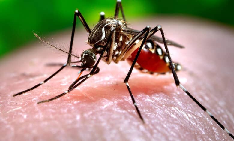 Bangladesh sees 2nd highest daily Dengue deaths in 2023