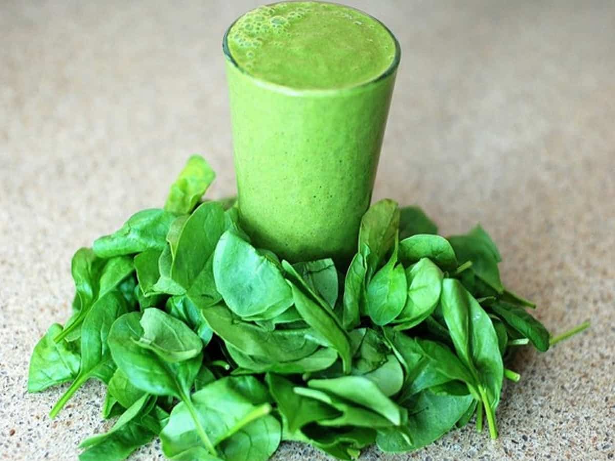 Doctors suggest adopting plant based diet relieves migraine symptoms