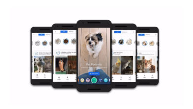 Google's 'Pet Portraits' feature to find art lookalikes for your pet