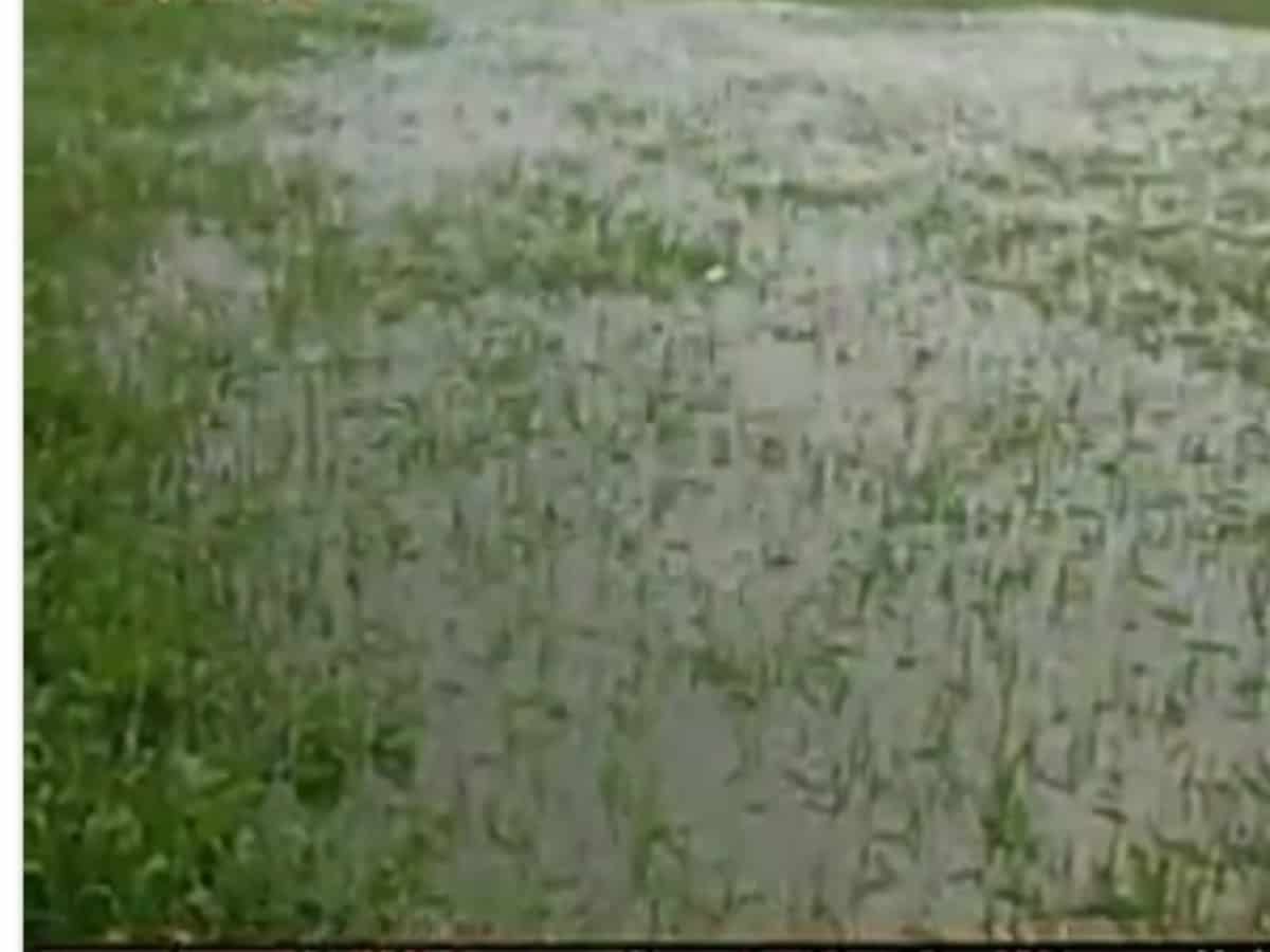 As many as 24 persons lost their lives due to tragedies related to the heavy rainfall in Karnataka since September. The rains have also caused a loss of agricultural crops in five lakh hectares in the state.