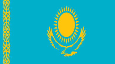 Kazakhstan ready to hold talks on Syria in late December: Foreign Minister