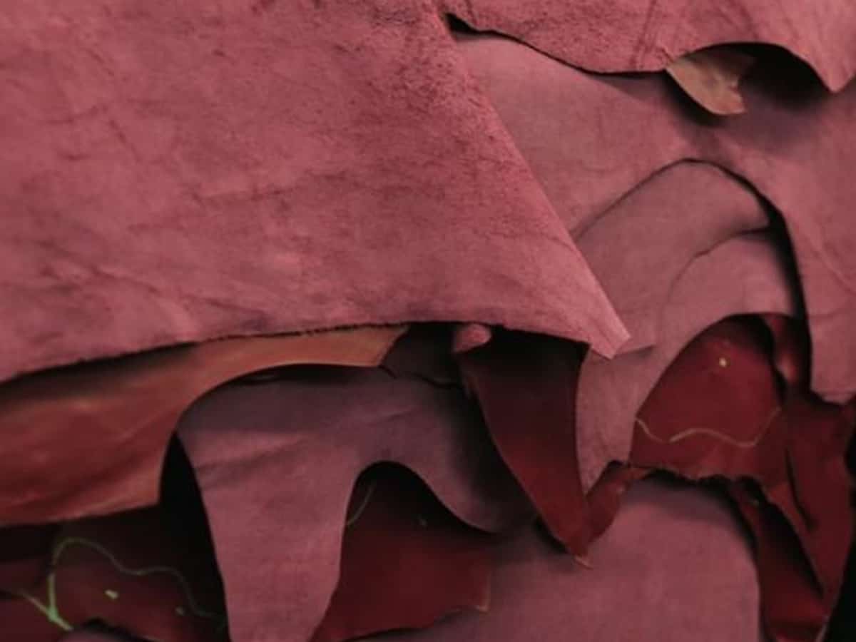 India should aim to achieve over $10 bn leather exports by 2025: Goyal