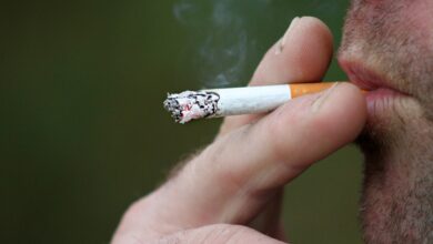 India likely to achieve 30% reduction in tobacco use by 2025: WHO