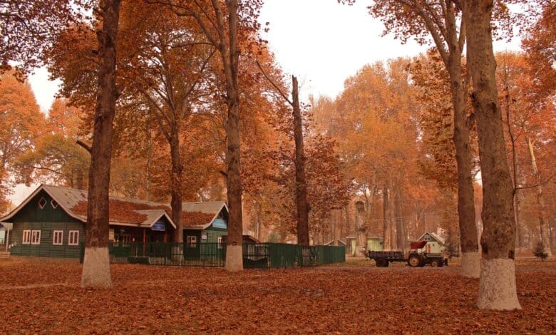 Kashmir University