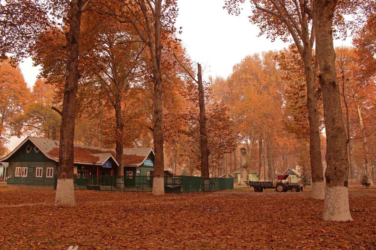 Kashmir University