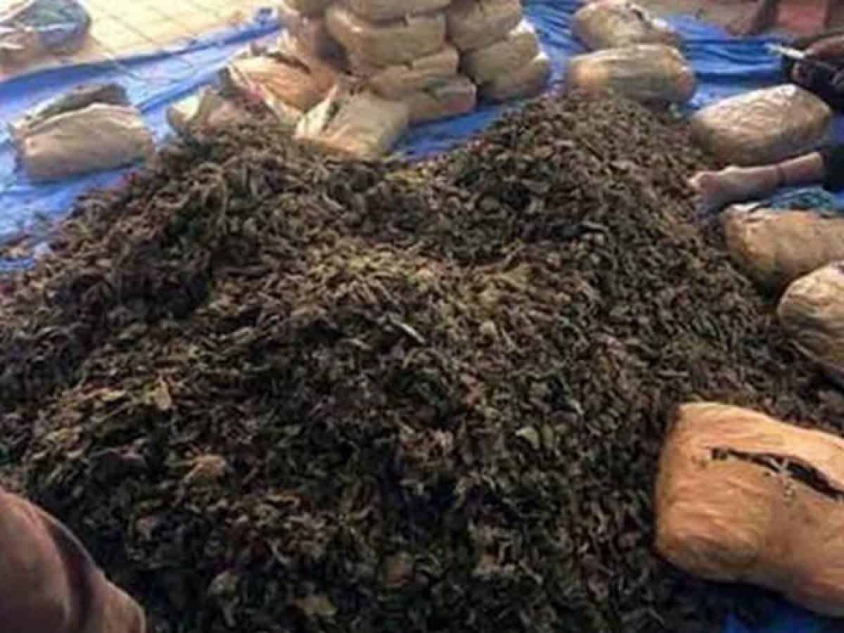 Five held in Vizag for online supply of ganja