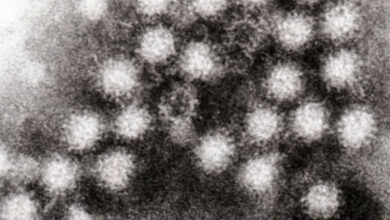 Norovirus outbreak in Kerala: Karnataka on high alert
