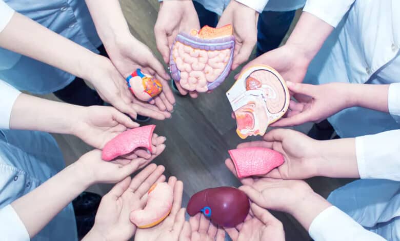 Telangana bags best state award in organ donations, beats TN, Gujarat