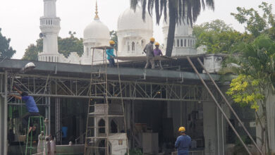 Renovation of Shahi Masjid public gardens begins