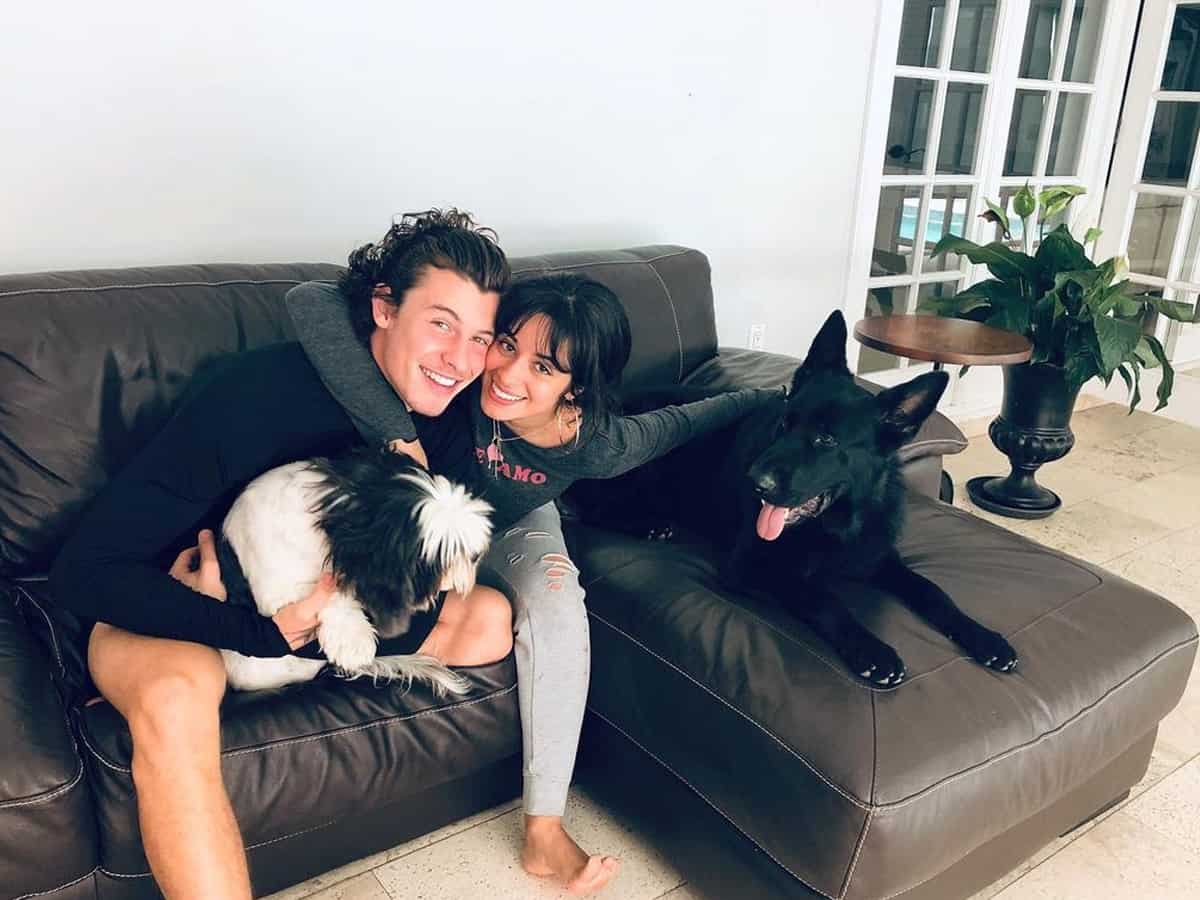 Shawn Mendes, Camila Cabello split after 2 years of dating