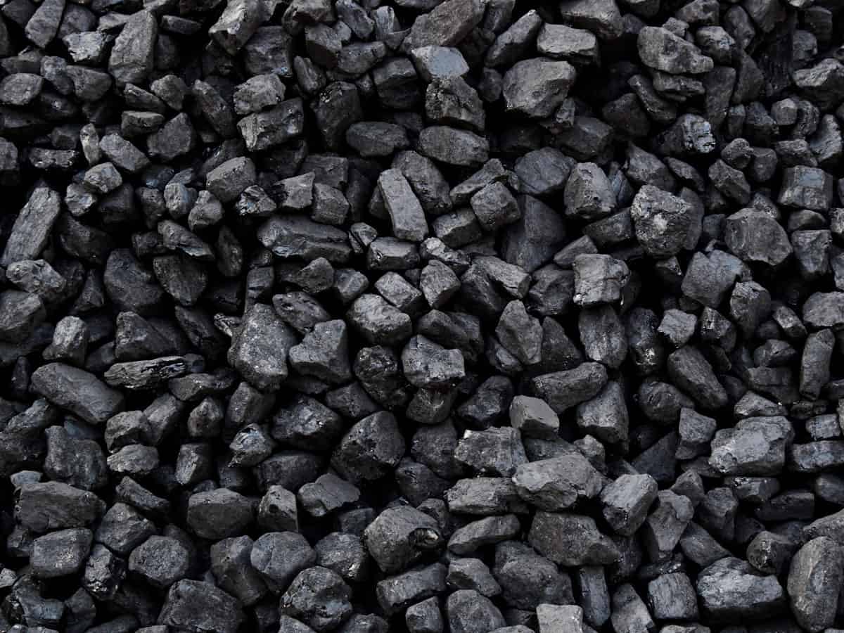 Coal, petroleum products' production fuel Oct industry growth