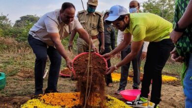 Dulquer Salmaan takes part in Green India Challenge in Hyderabad