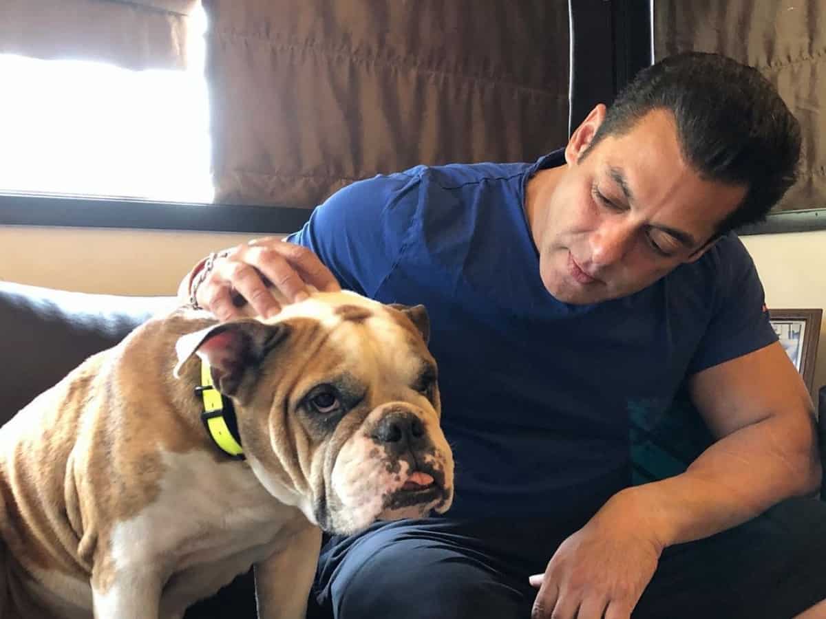 Inside Salman Khan luxurious Galaxy Apartment in Mumbai