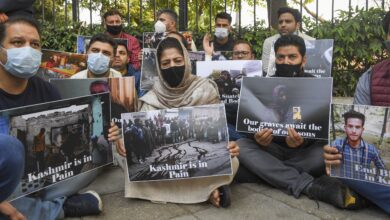 Mehbooba stages dharna at Delhi's Jantar Mantar, says Kashmir 'in pain'