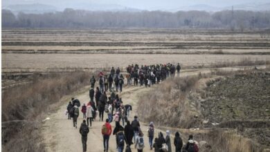 Afghans lodge most asylum applications in EU: report