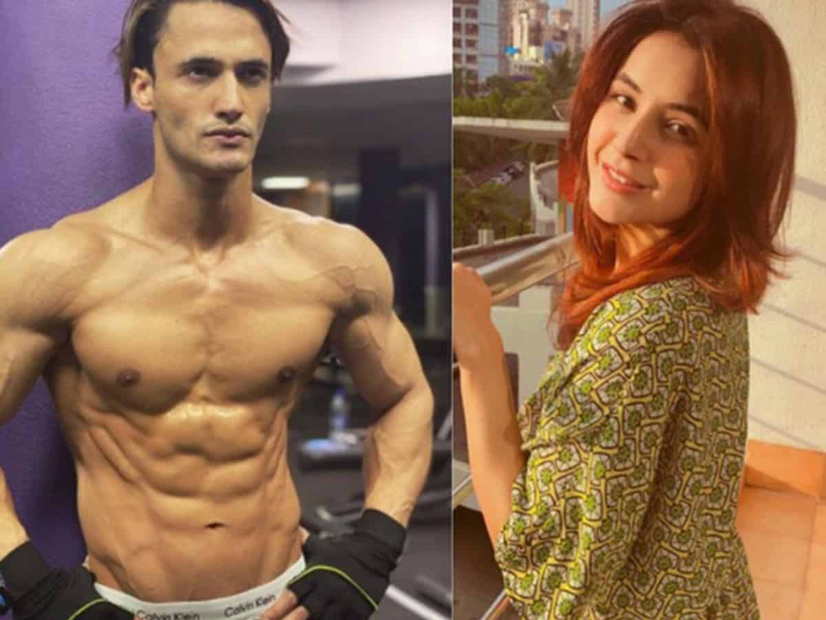 Asim Riaz clarifies his cryptic tweet was not for Shehnaaz Gill