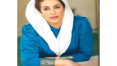 PPP observe Benazir Bhutto's 14th death anniversary