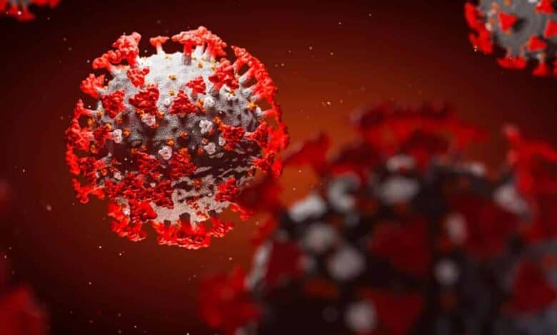 WHO names 'Eris' COVID strain variant of interest