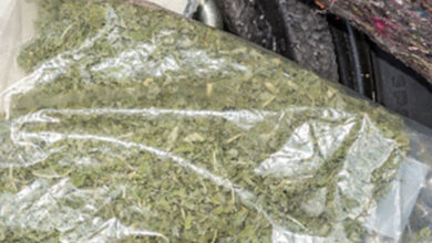AP: Cops nab 4 persons for transporting cannabis