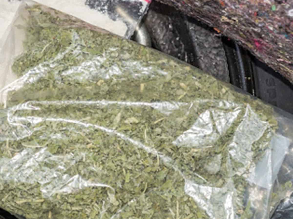 AP: Cops nab 4 persons for transporting cannabis