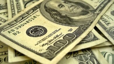 India's foreign exchange dip lower by $160 mn