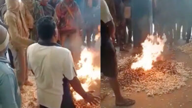 MP: Upset over not getting fair price, farmer sets 1 quintal of garlic on fire