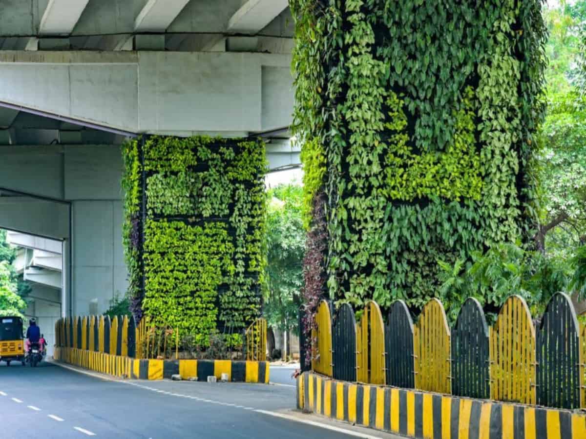 Hyderabad: City with most number of vertical gardens