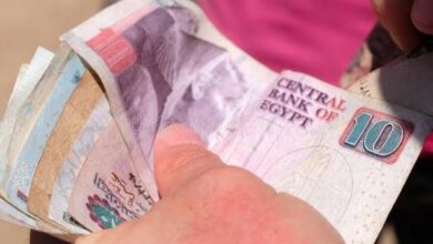Egypt woman stole 4M EGP from her husband fearing he’ll remarry