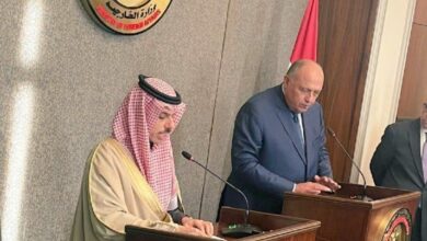 Egypt, Saudi agree to boost cooperation in maintaining regional security, stability