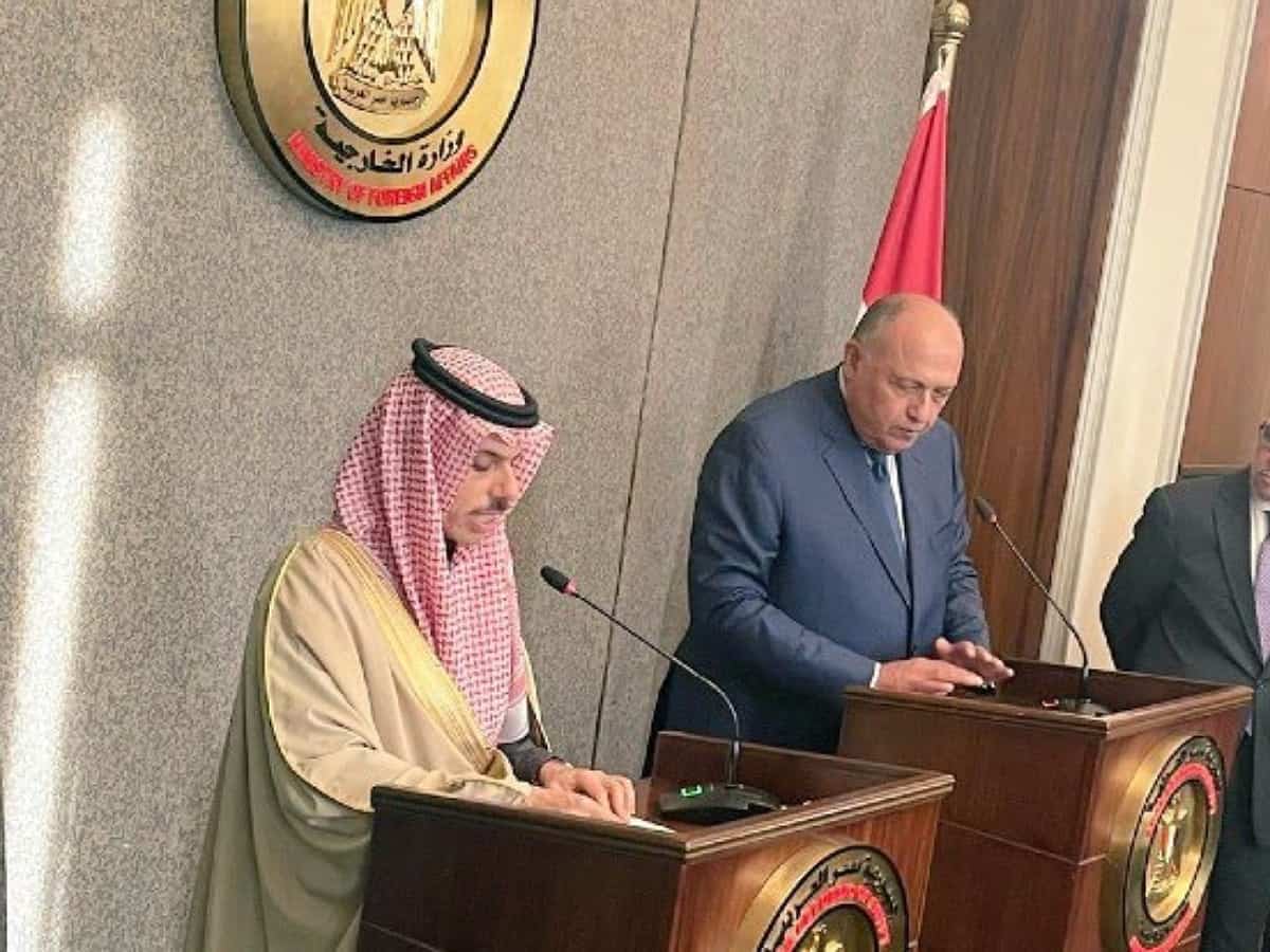 Egypt, Saudi agree to boost cooperation in maintaining regional security, stability