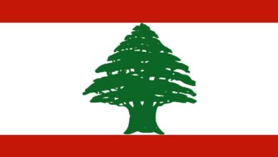 Lebanon support group gravely concerned no President elected for 4 months