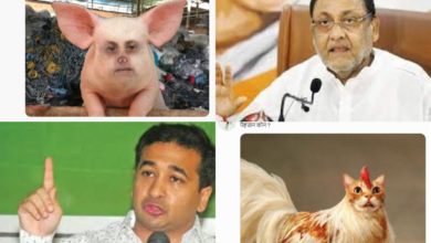 Meme war in Maha politics: Nawab Malik, Nitesh Rane lock horns