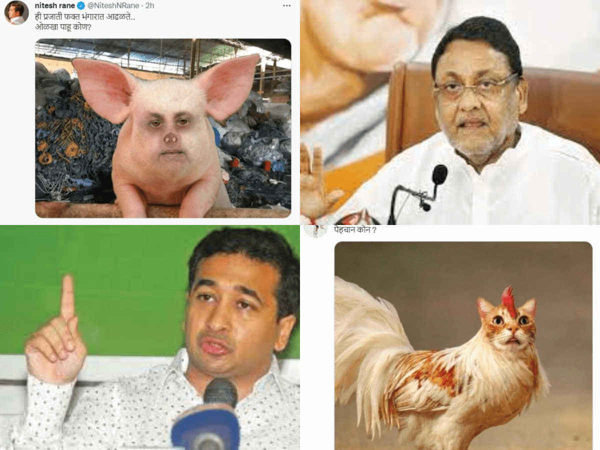 Meme war in Maha politics: Nawab Malik, Nitesh Rane lock horns