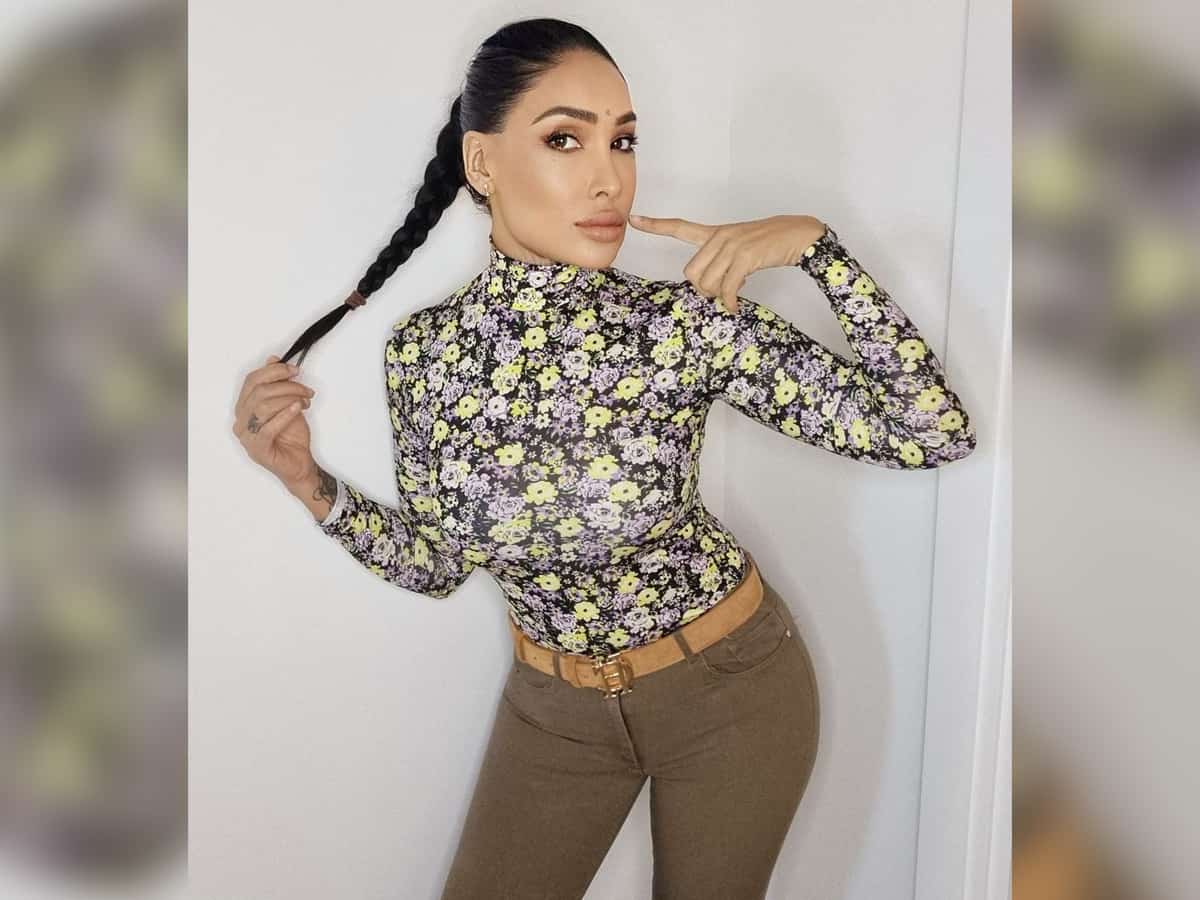 'Bigg Boss 15': Sofia Hayat says Rakhi, Ritesh are a real couple