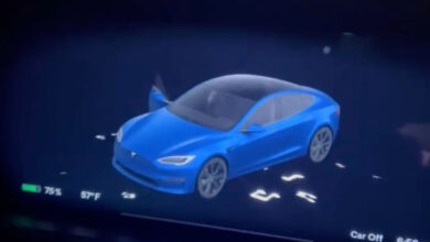 Tesla lets drivers turn electric cars into megaphones
