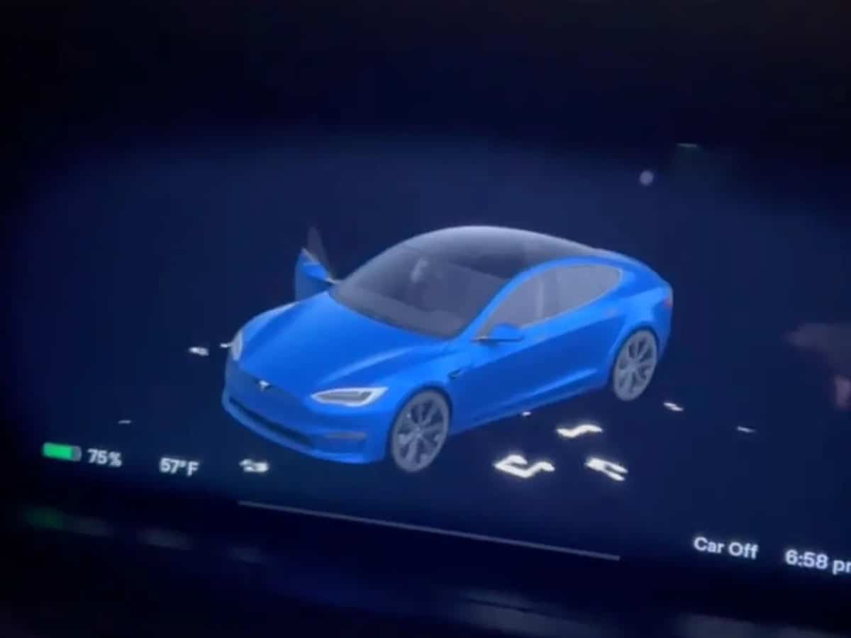 Tesla lets drivers turn electric cars into megaphones
