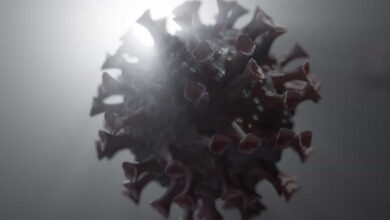 China reports outbreak of COVID-19 new Delta strain sub-lineage AY.4' cases