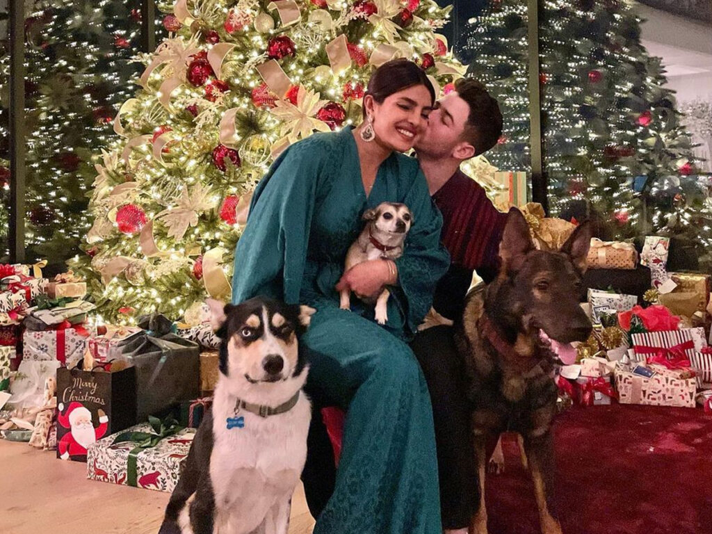 Nick, Priyanka share holiday postcard style Christmas greetings